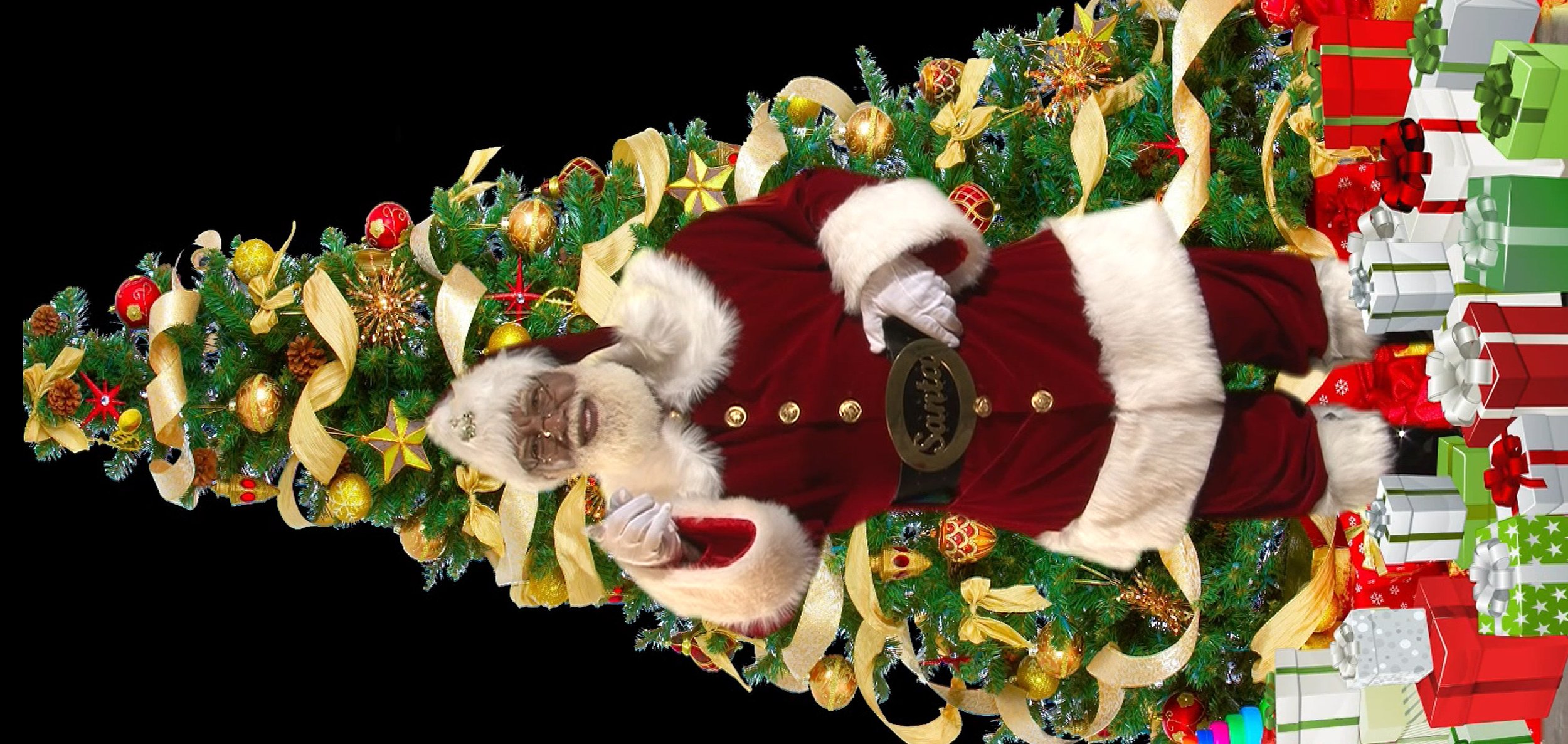 VIRTUAL AFRICAN AMERICAN SANTA HD DIGITAL DOWNLOAD - VERTICLE WITH